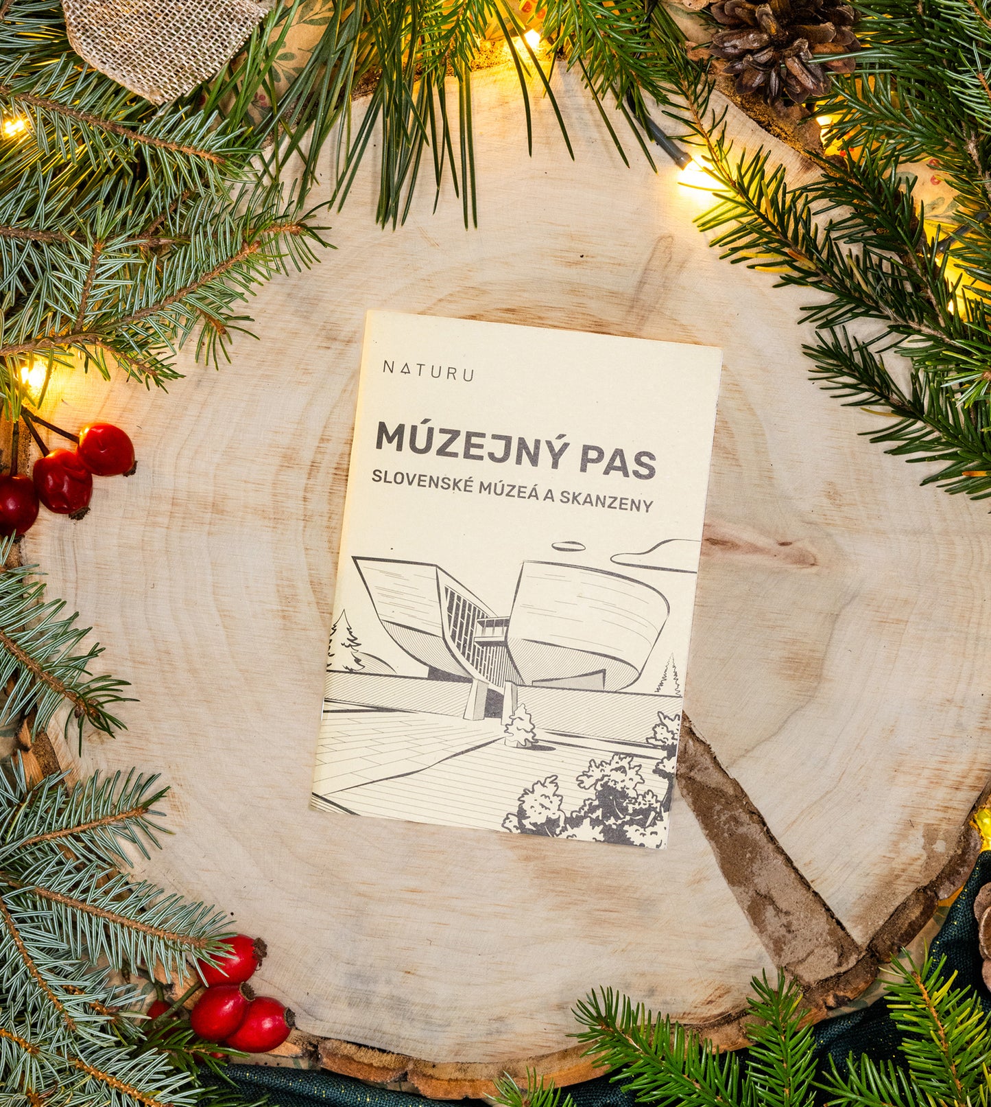 Múzejný pas