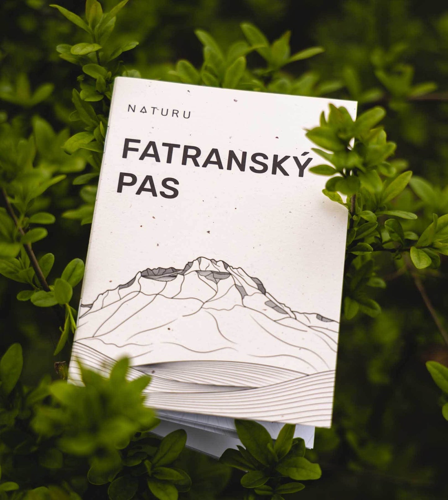 Fatranský pas