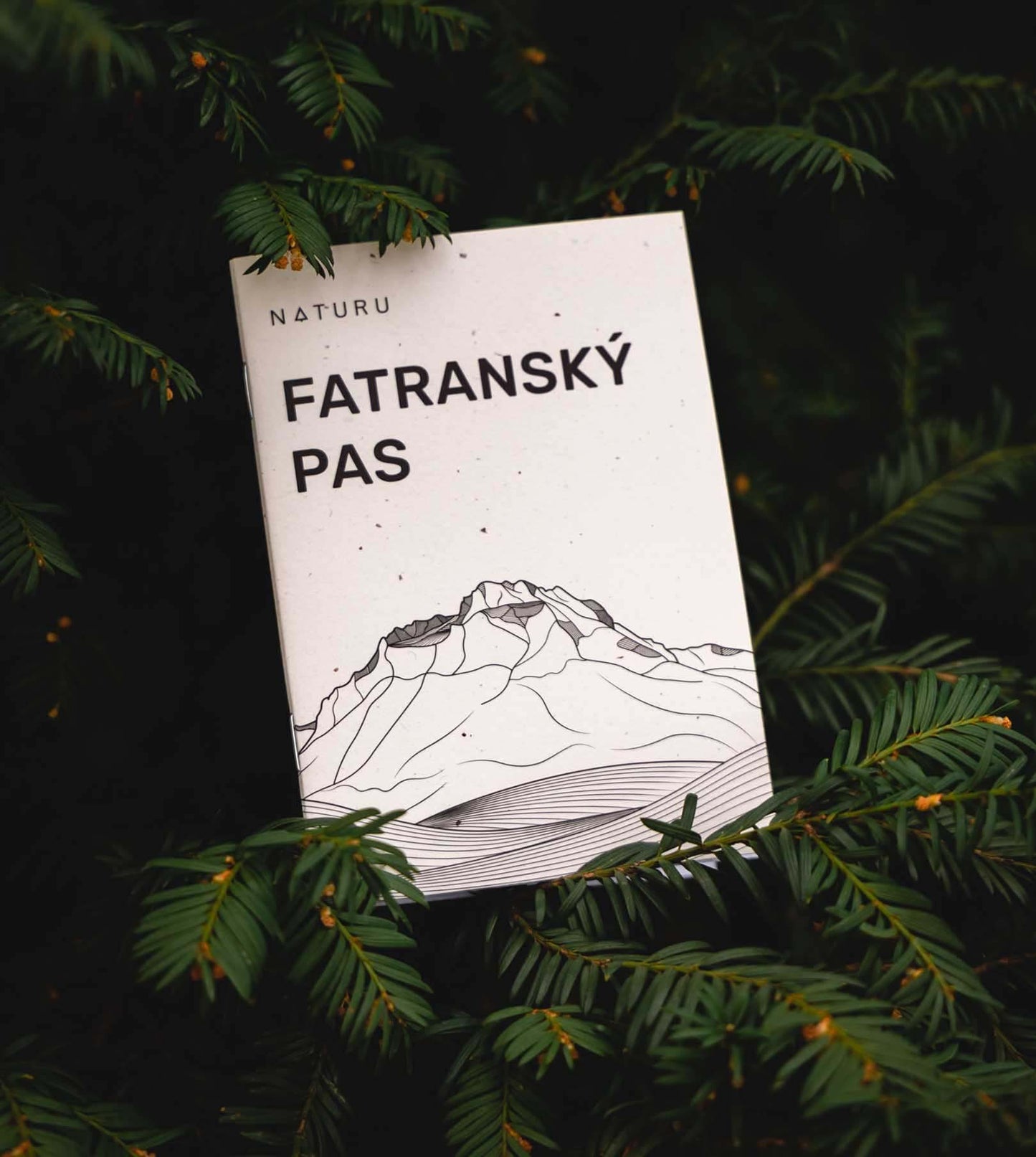 Fatranský pas