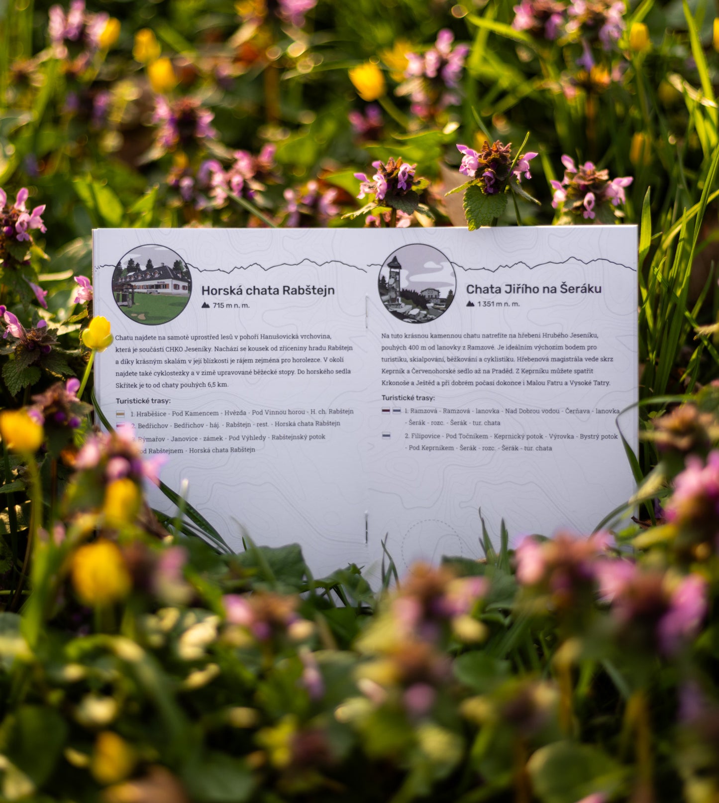 Jesenický pas (CZ verzia)