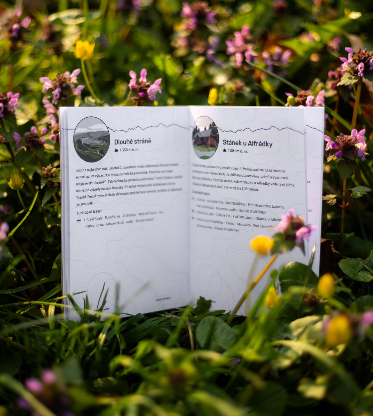 Jesenický pas (CZ verzia)