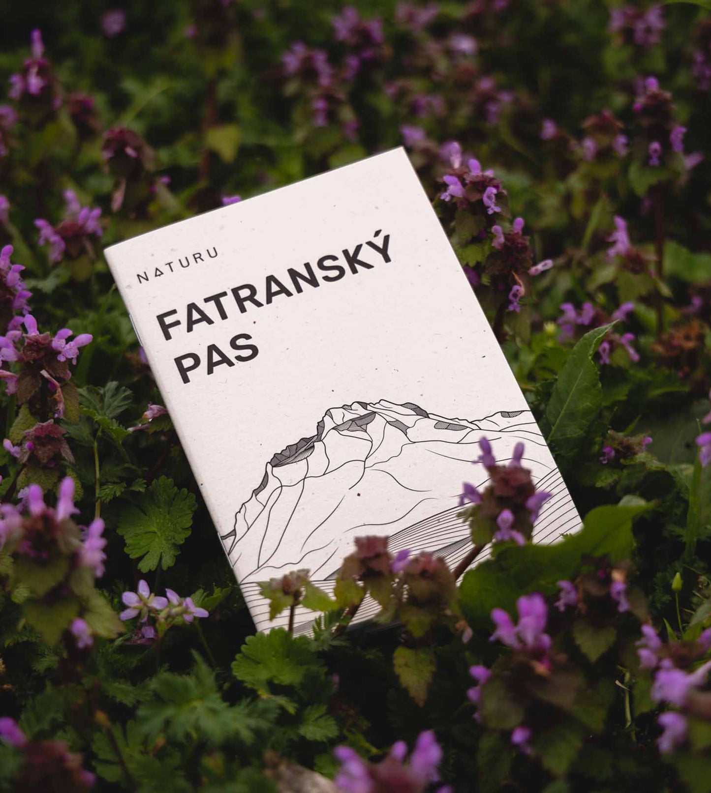 Fatranský pas