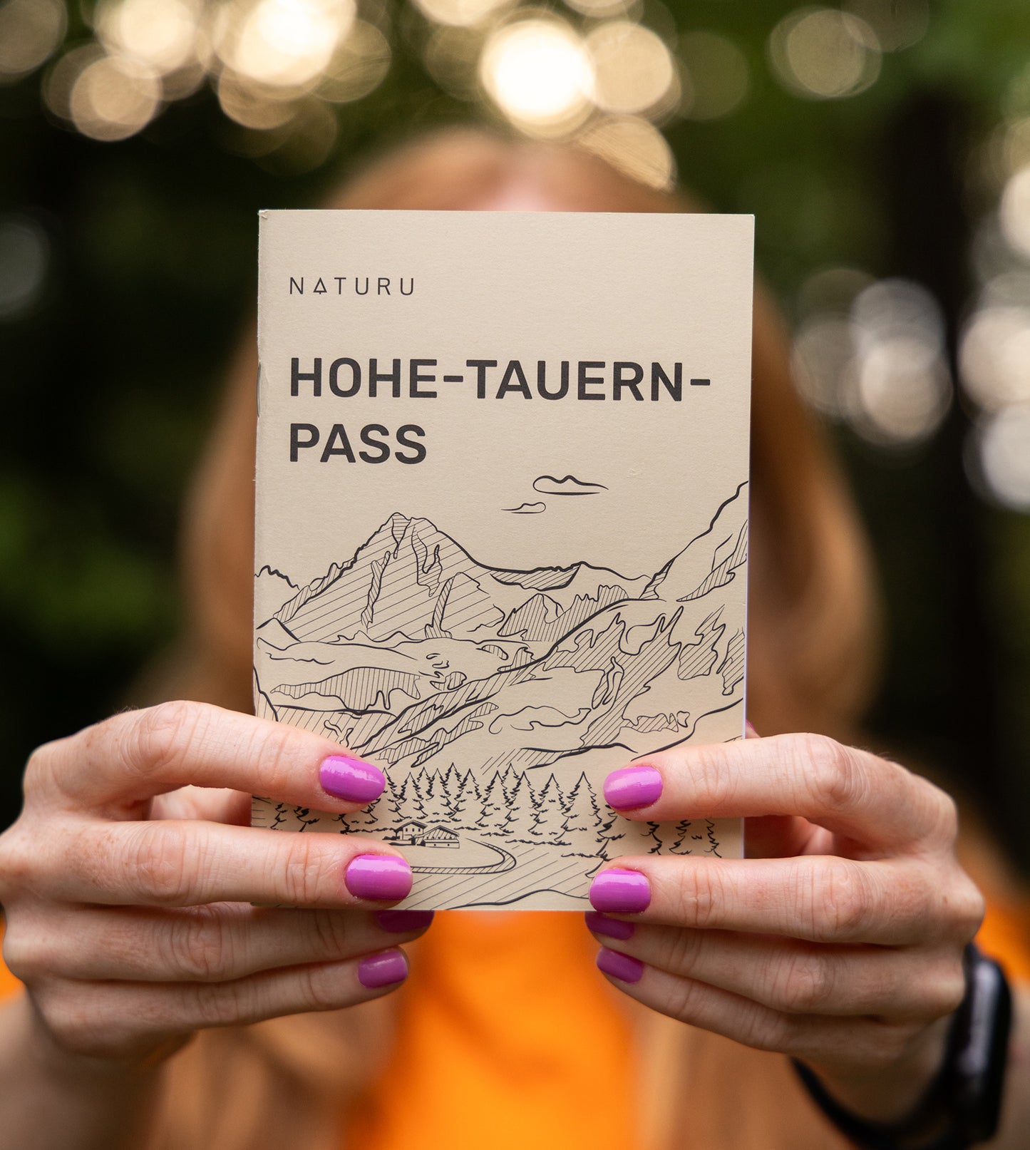 Hohe Tauern Pass (Nemecká verzia)